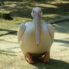 ２０２３／０６／１３　東武動物公園