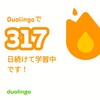 Duolingo317