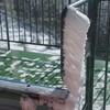 白い花咲くマイナスの世界