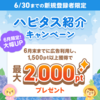 6月のハピタス紹介キャンペーン！ 2,000ポイントプレゼント！