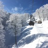 野沢温泉1泊2日⛄️（2月5日、6日野沢温泉スキー場）