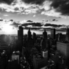 Monochrome in New York