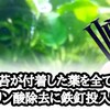 もう限界!!黒ひげ苔が付着した葉をカット!!リン酸除去対策鉄釘投入!!ヤケクソです！