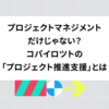 プロジェクトマネジメントだけじゃない？ コパイロツトの「プロジェクト推進支援」とは