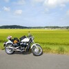 vt750s Vの鼓動はいかがでしょう？