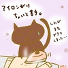占ってみた20250528