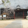 埼玉県加須市総願寺不動尊