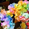 【神奈川】日比谷花壇 シァル鶴見店