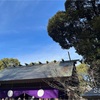 【八難除】阿佐ヶ谷神明宮へ厄祓いに行ってきました