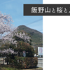 2022年度が始まりました。