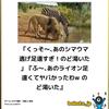 ■勇気の出し方「ライオンさん」編