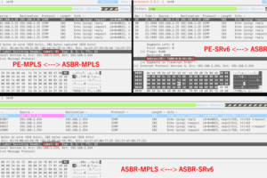 SRv6/SR-MPLS相互接続を実現するための機能をFRRに実装してみた（インターンシップ体験記）