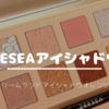 〈ZEESEA〉ドリームランドアイシャドウオレンジ