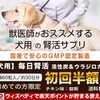 腎臓の健康維持に「毎日腎活　活性炭＆ウラジロガシ」を試してみませんか？