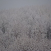 朝は雪、午後は青空。