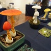 粘土で作ったリアルなきのこ！きのこ盆栽家 渋谷卓人さんの個展に行ってきました