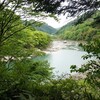 新緑の木曽川