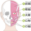 自分の手でキレイを手に入れよう