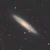 星見娘で電視観望4176(ちょうこくしつ座銀河 C65/NGC253)