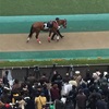 東京競馬9R オリエンタル賞 パドック直前予想 ◎7 タイセイサミット 