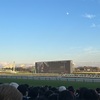 初めての競馬場　(有馬記念)