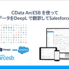 CData ArcESB を使ってkintone のデータをDeepL で翻訳してSalesforce に連携する