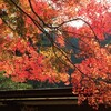 　奈良旅行、そしてレッスンのこと＆…
