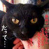 謎のシリコン