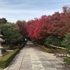 【寺巡り】京都 相国寺の紅葉がとても綺麗