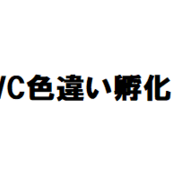 色違いポケモン カテゴリーの記事一覧 2ページ目 自由に生きてあそblog 色違いポケモン カテゴリーの記事一覧 2ページ目 自由に生きてあそblog
