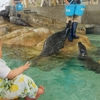 城崎マリンワールドで水族館デビュー🐟🐬🌊