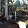 上野動物園に行ったよ