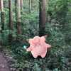 【鎌倉トレラン】ポケモンGOを鎌倉のハイキングコースでやってみた！【天園】