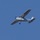 飛行機[JA3951]第一航空｜「三度あったことは...」まで