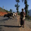 ワンデュ・ポダン(Wangdue Phodrang)にて。