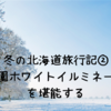 冬の北海道旅行記②大通公園ホワイトイルミネーションを堪能する