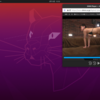 【Ubuntu】エロ動画を鑑賞する