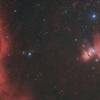 Ｍ７８周辺：オリオン座周辺の散光星雲