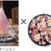 「イルミネーション×中央区花手水」12/18～25 開催！（2024/12/17）
