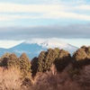 今朝の景色