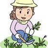 もしもまた雑草退治をすることがあるならこうする☆彡