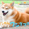 【楽天証券】登録して1万円投資してポイントゲット【ポイントインカム】