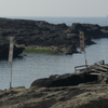 城ケ島の海鵜