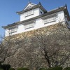 津山城（岡山県津山市）　石垣の要塞と言っても過言ではない城