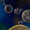 ミドリムシで車が走る！？プラスチックができる！？ミドリムシの意外な活用方法
