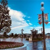 自粛後初TDL