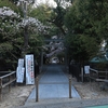 地元「伊勢田神社」桜　2023