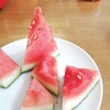 初物