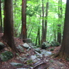 山中の寝釈迦様の捌