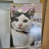 【終了】＼猫好きさんだヨ！全員集合！／ひめじ猫友フェスvol.3